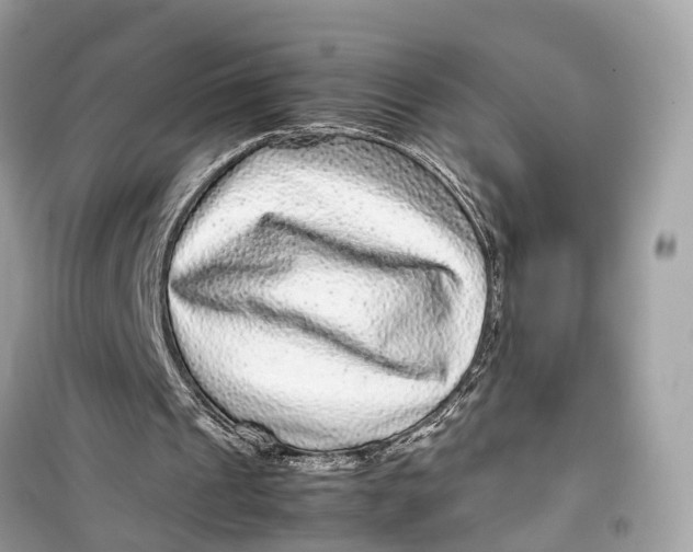 X0000099310241200805231409