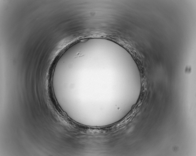 X0000099310242200805231409