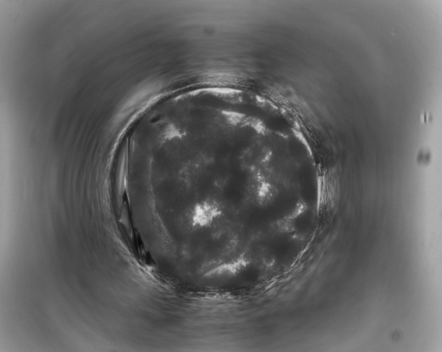 X0000099310243200805231409