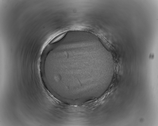 X0000099310244200805231409