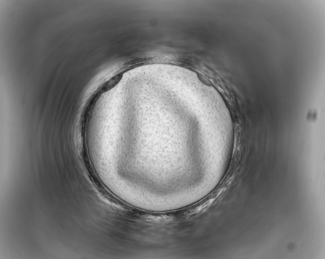 X0000099310245200805231409