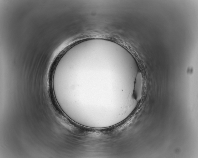 X0000099310246200805231409