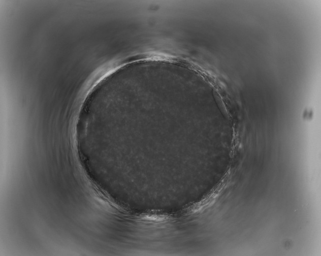 X0000099310247200805231409