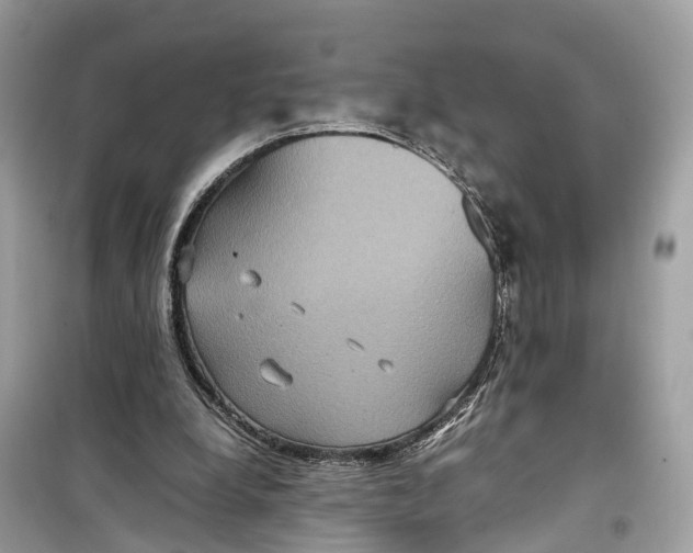 X0000099310248200805231409