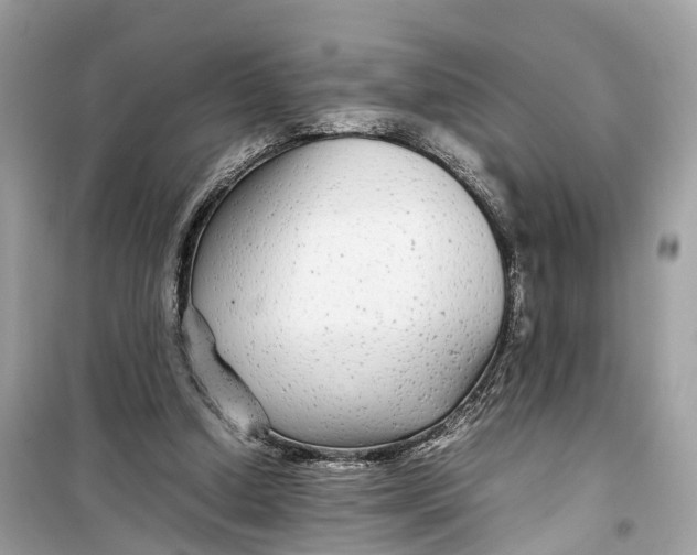 X0000099310250200805231409