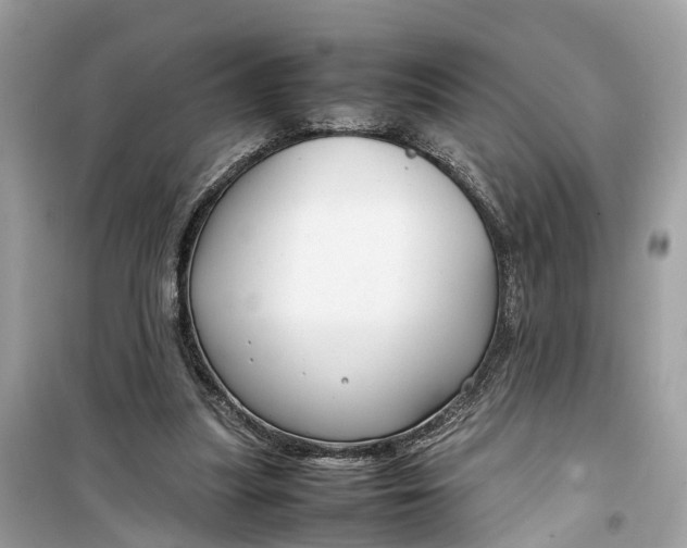 X0000099310251200805231409