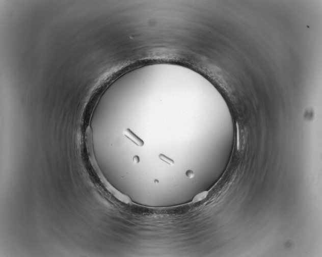 X0000099310252200805231409