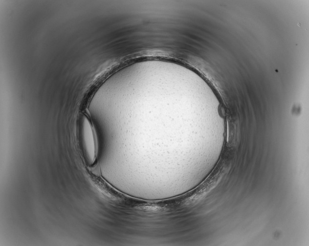 X0000099310253200805231409