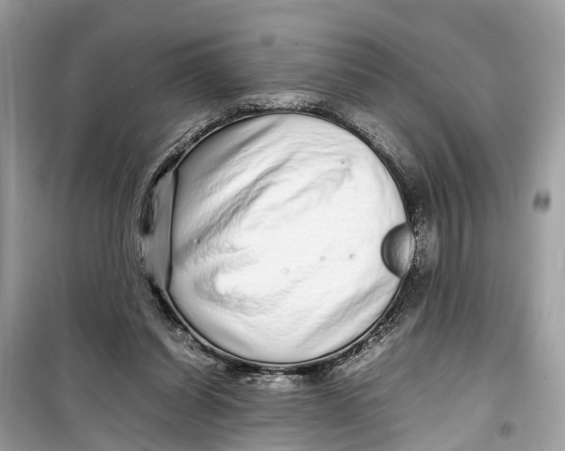 X0000099310254200805231409