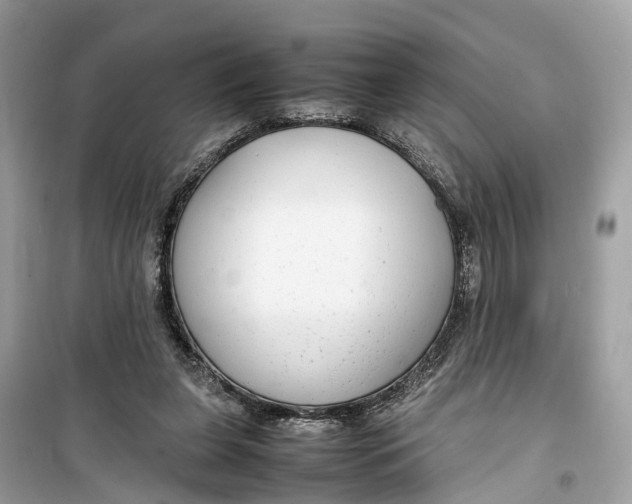 X0000099310255200805231409