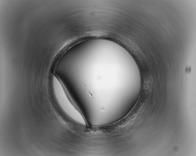 X0000099310256200805231409