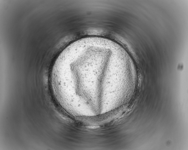 X0000099310257200805231409