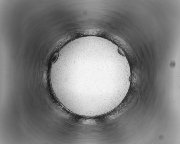 X0000099310258200805231409