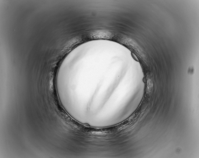 X0000099310259200805231409