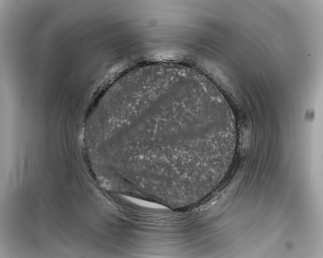 X0000099310260200805231409