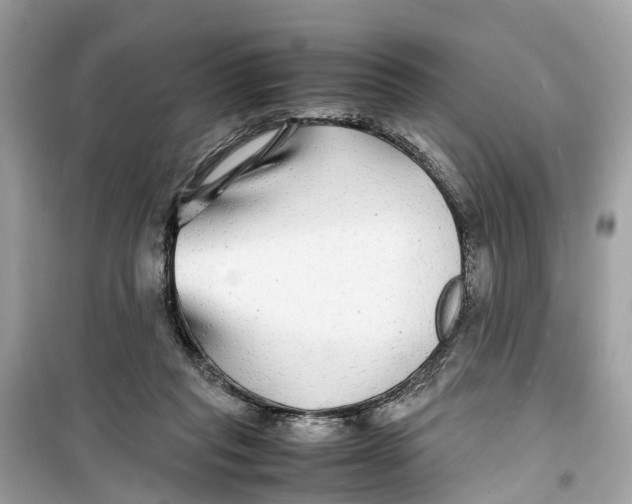 X0000099310261200805231409