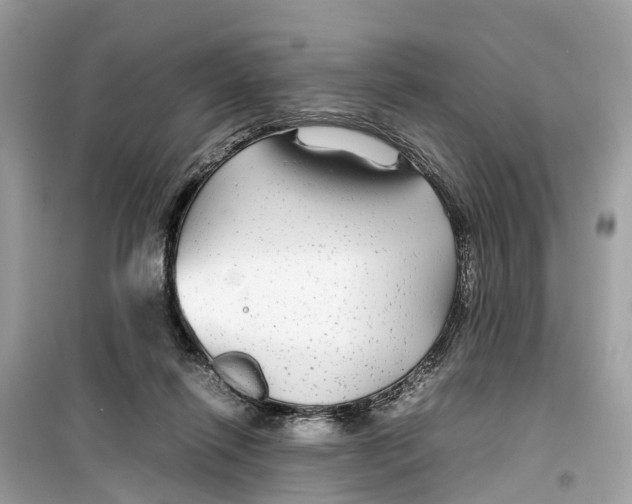 X0000099310262200805231409