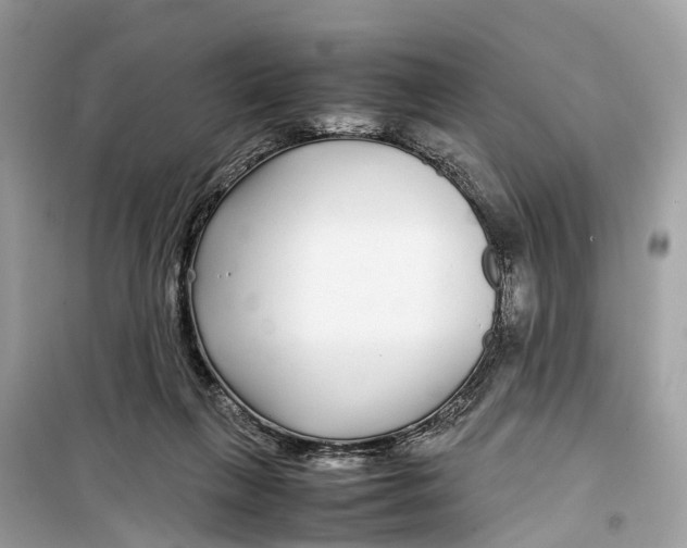 X0000099310263200805231409