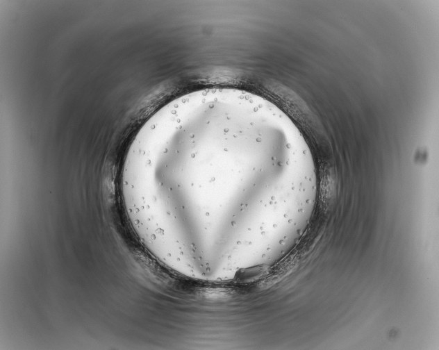 X0000099310264200805231409