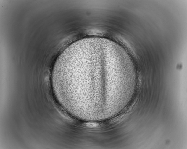 X0000099310265200805231409