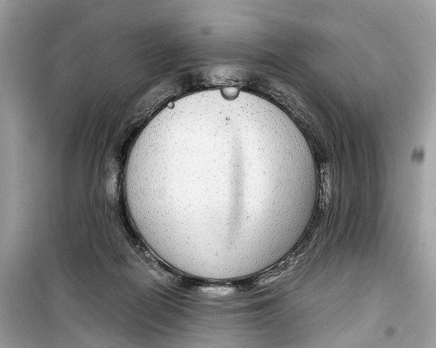 X0000099310266200805231409