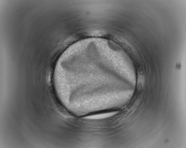 X0000099310268200805231409