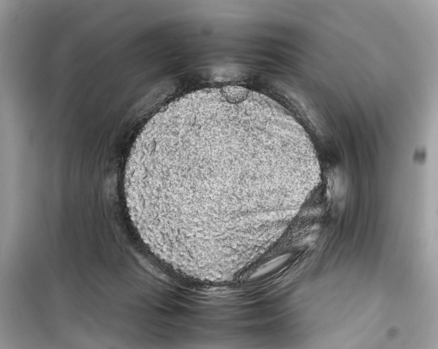 X0000099310269200805231410