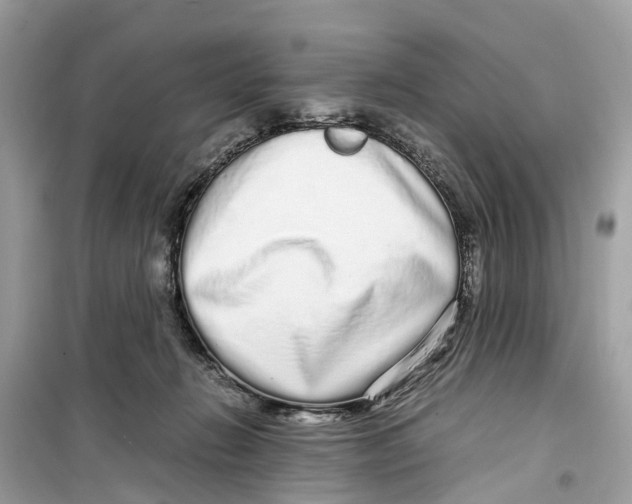 X0000099310270200805231410