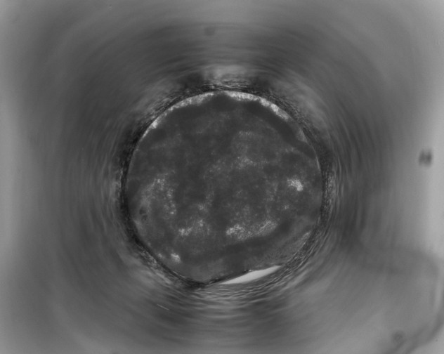 X0000099310271200805231410