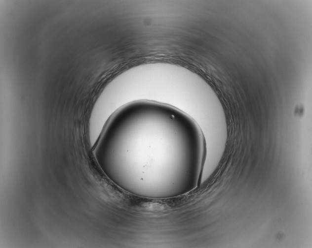 X0000099310272200805231410