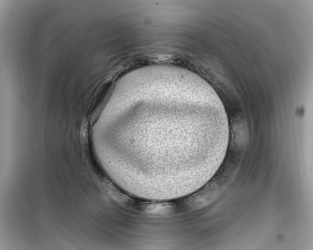 X0000099310274200805231410