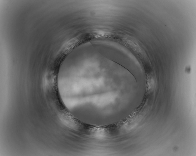 X0000099310276200805231410