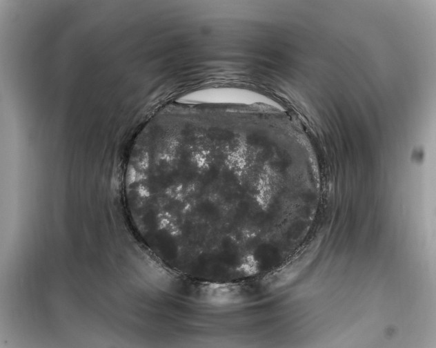 X0000099310277200805231410