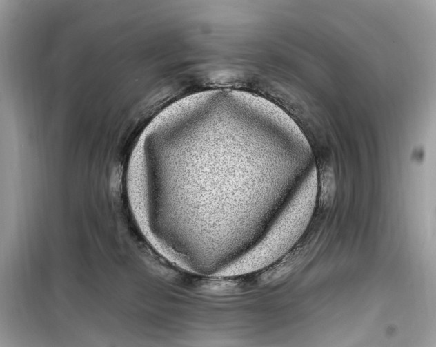 X0000099310278200805231410