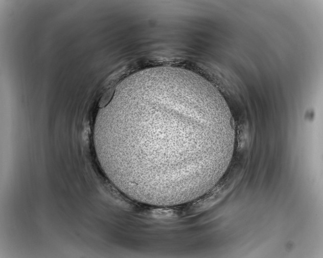 X0000099310279200805231410