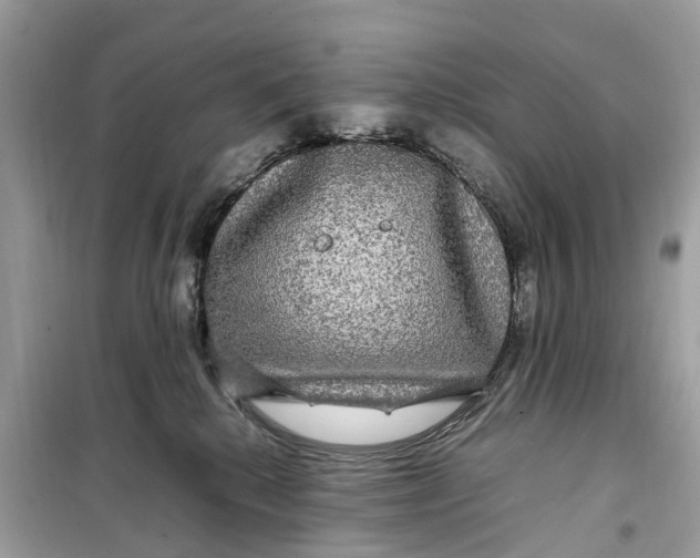 X0000099310280200805231410