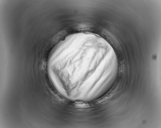 X0000099310281200805231410