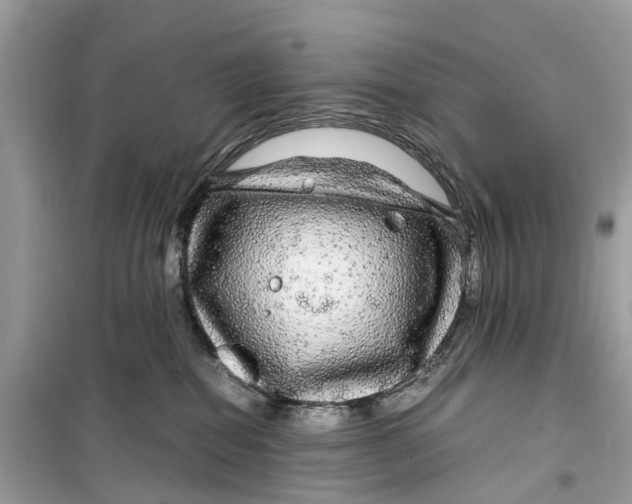 X0000099310282200805231410