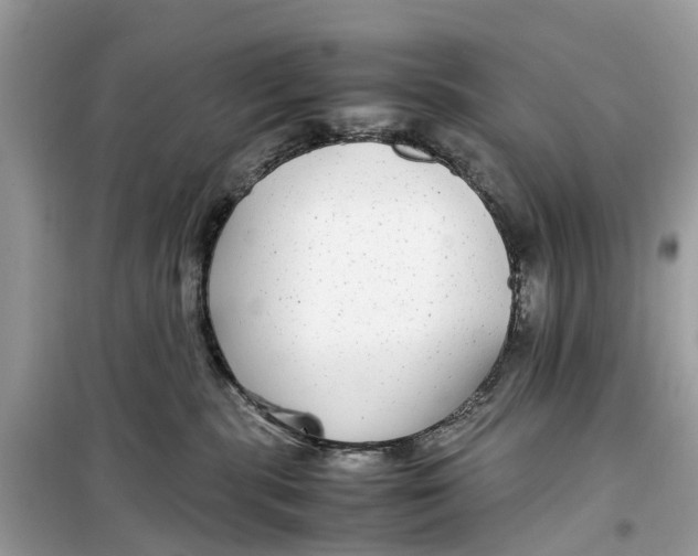 X0000099310283200805231410