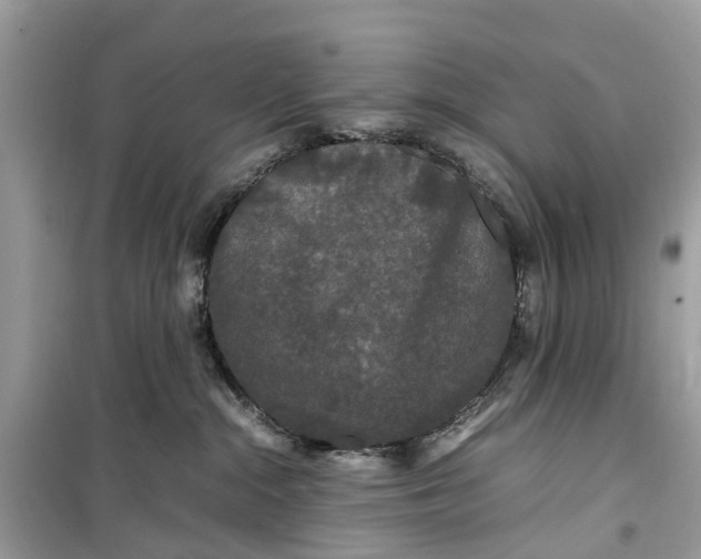 X0000099310284200805231410