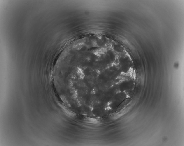 X0000099310285200805231410