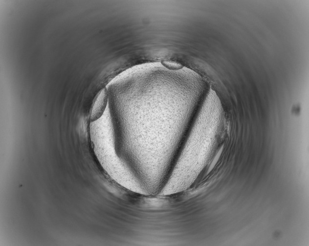 X0000099310286200805231410