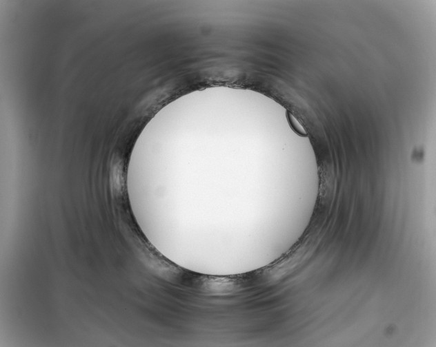 X0000099310287200805231410