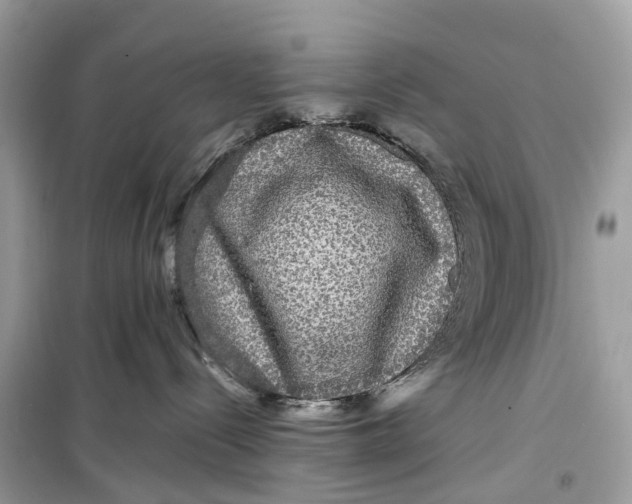 X0000099310288200805231410