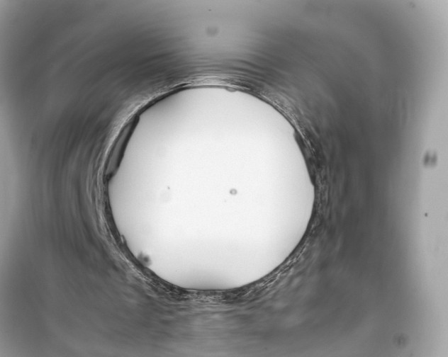 X0000099310289200805231409