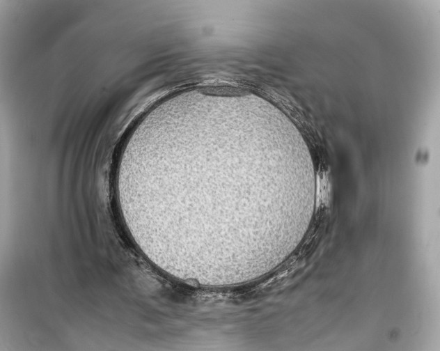 X0000099310291200805231409