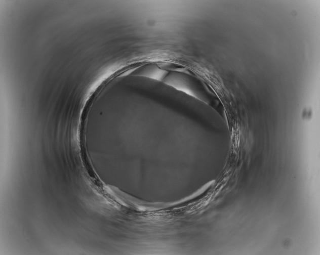 X0000099310292200805231409