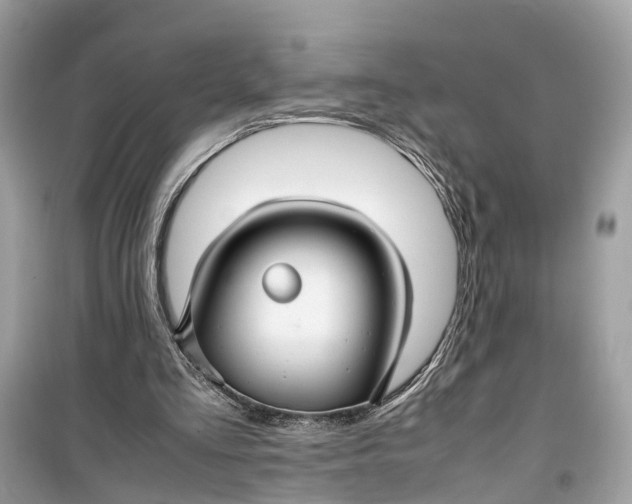 X0000099310293200805231409