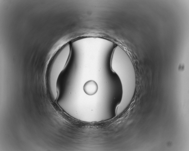 X0000099310296200805231409