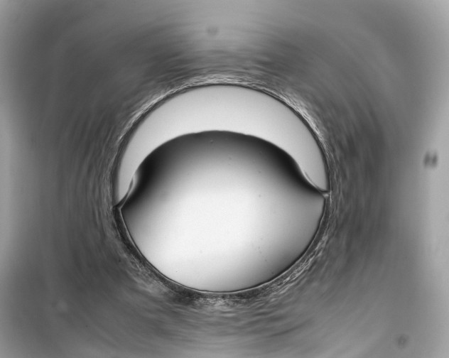 X0000099310297200805231409